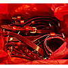 Bdsm garter belt wine review