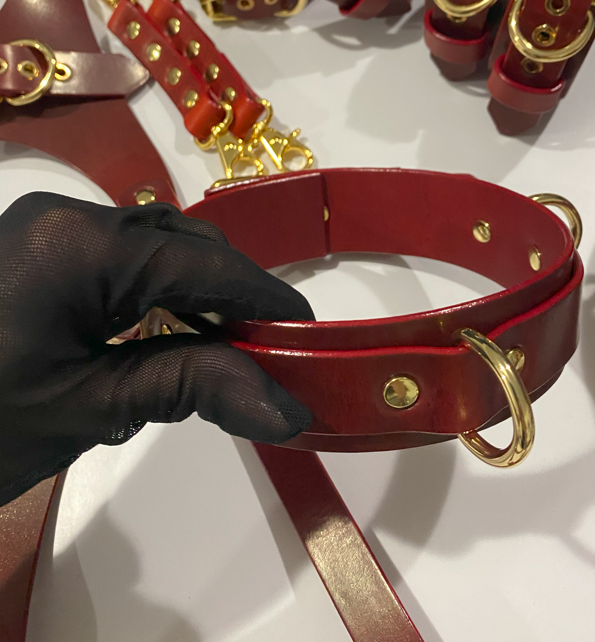O-ring collar slave leather bdsm